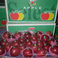 Exporting Standard Packing Fresh Red Apple, Huaniu Apple